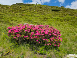 Von Niederthai zur Larstigalm