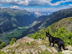 Von Niederthai zur Larstigalm