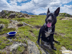 Von Niederthai zur Larstigalm