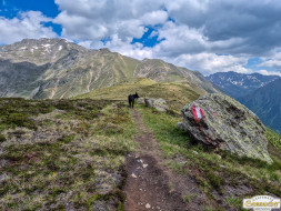 Von Niederthai zur Larstigalm