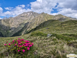 Von Niederthai zur Larstigalm