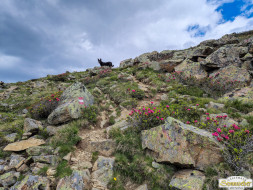 Von Niederthai zur Larstigalm