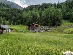 2024-07-06_Niederthai-Larstigalm_40