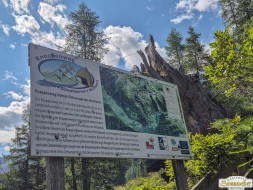 Rundwanderung auf den Wetterkreuzkogel