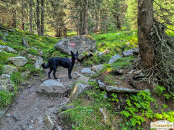 Rundwanderung auf den Wetterkreuzkogel