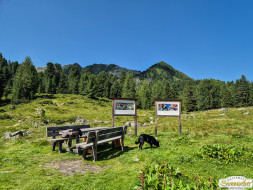 Rundwanderung auf den Wetterkreuzkogel