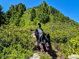 Rundwanderung auf den Wetterkreuzkogel