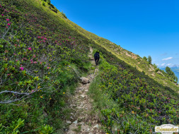 Rundwanderung auf den Wetterkreuzkogel