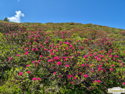 Rundwanderung auf den Wetterkreuzkogel