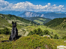 Rundwanderung auf den Wetterkreuzkogel