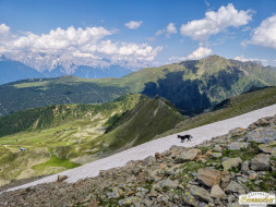 Rundwanderung auf den Wetterkreuzkogel