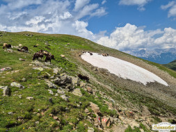 Rundwanderung auf den Wetterkreuzkogel