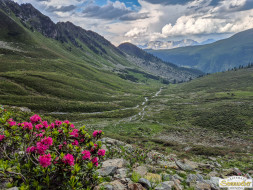 Rundwanderung auf den Wetterkreuzkogel