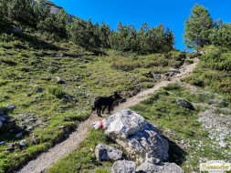 Über den Tschirgant zur Haiminger Alm