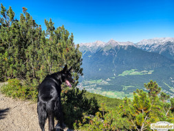 Über den Tschirgant zur Haiminger Alm