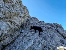 Über den Tschirgant zur Haiminger Alm