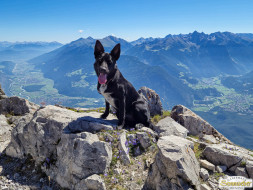 Über den Tschirgant zur Haiminger Alm