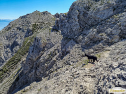 Über den Tschirgant zur Haiminger Alm
