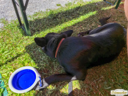 Über den Tschirgant zur Haiminger Alm