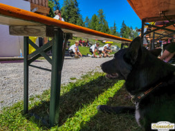 Über den Tschirgant zur Haiminger Alm