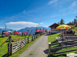 Über den Tschirgant zur Haiminger Alm