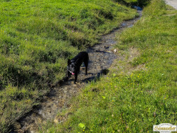 Über den Tschirgant zur Haiminger Alm