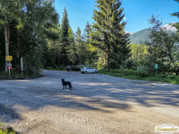 Über den Tschirgant zur Haiminger Alm