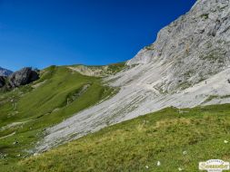 Viehabtrieb ins Felderer Tal