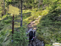 Über den Köfler Waalweg durchs Fundustal