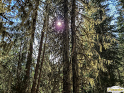 Über den Köfler Waalweg durchs Fundustal