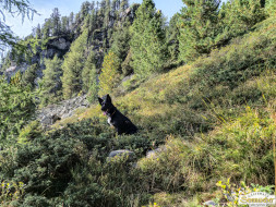Über den Köfler Waalweg durchs Fundustal