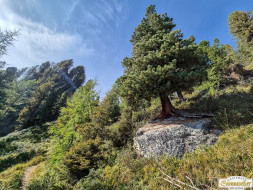 Über den Köfler Waalweg durchs Fundustal