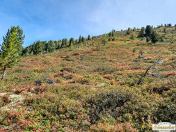 Über den Köfler Waalweg durchs Fundustal