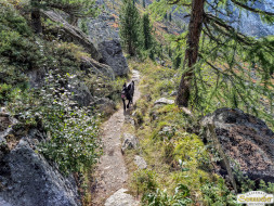 Über den Köfler Waalweg durchs Fundustal