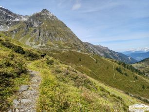 Über den Köfler Waalweg durchs Fundustal