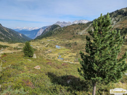 Über den Köfler Waalweg durchs Fundustal