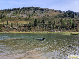 Über den Köfler Waalweg durchs Fundustal