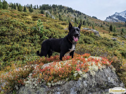 Über den Köfler Waalweg durchs Fundustal