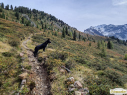 Über den Köfler Waalweg durchs Fundustal