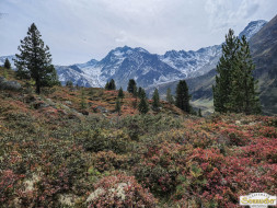 Über den Köfler Waalweg durchs Fundustal
