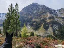 Über den Köfler Waalweg durchs Fundustal