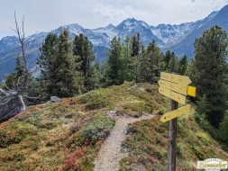 Über den Köfler Waalweg durchs Fundustal