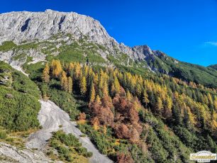 Hintereggensteig mit Karkopf im Hintergrund