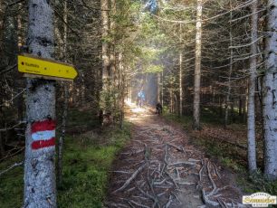 2024-11-03_Hohe-Munde_02