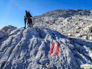 2024-11-03_Hohe-Munde_42