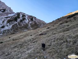 2024-11-17_Alpleskopf-von-Nassereith_13