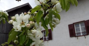 Frühling