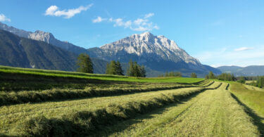 Heuernte in Obermieming