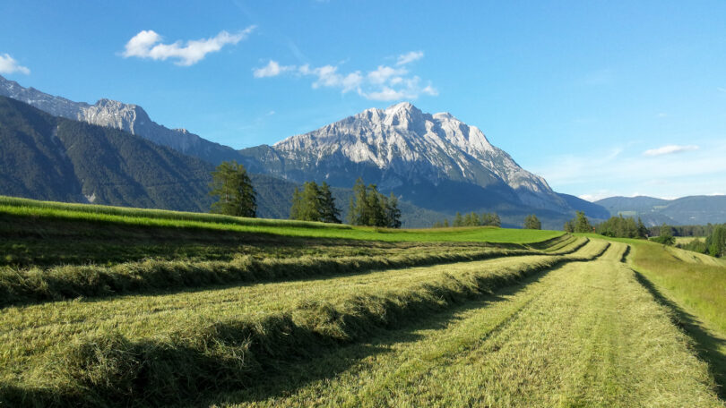 Heuernte in Obermieming