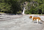 Bei Hängebrücke und Wasserfall